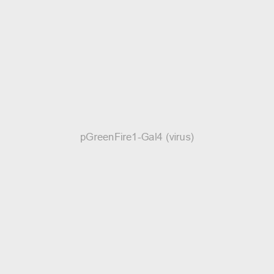 pGreenFire1-Gal4 (virus)